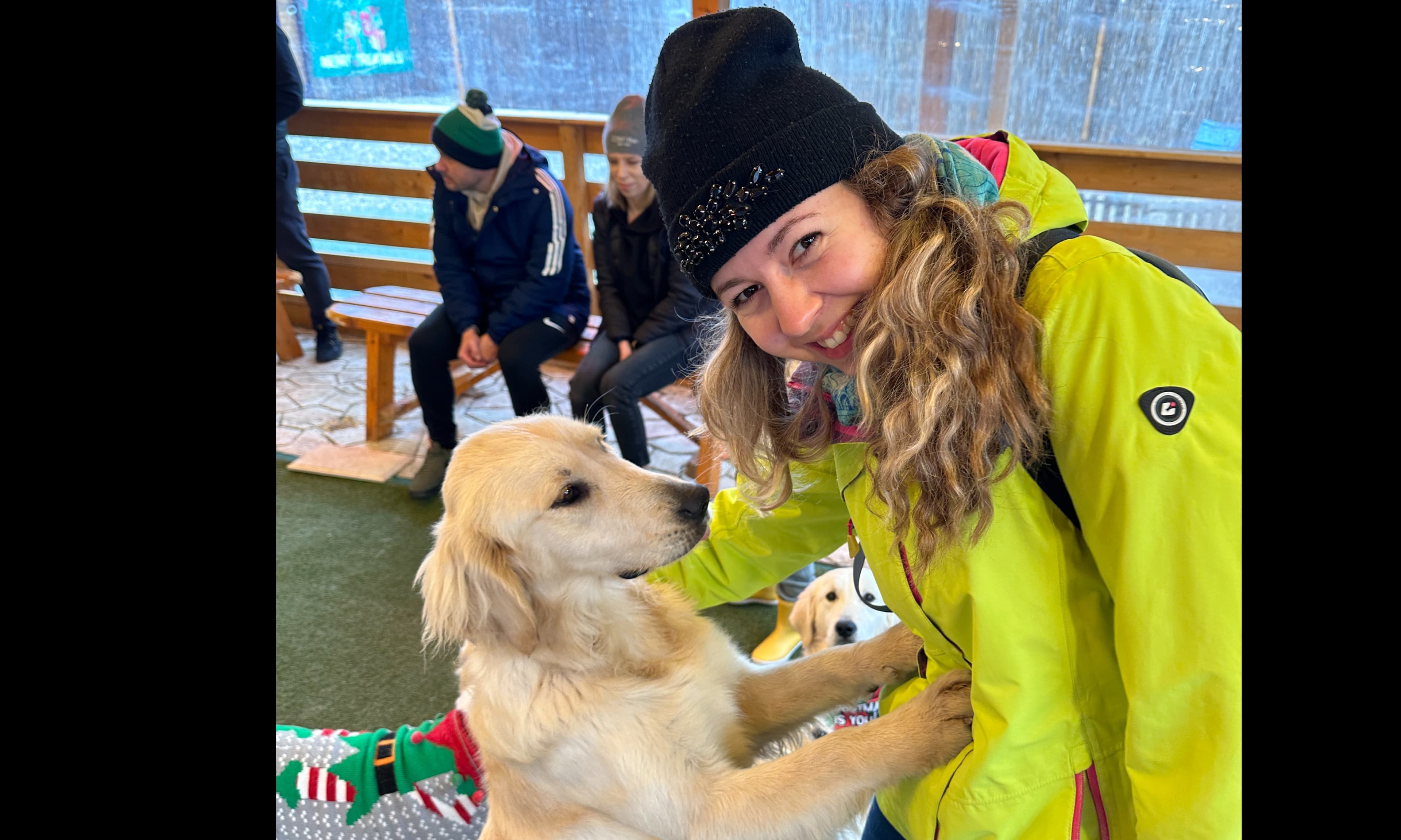 Plimb cainele tau cu grija si atentie