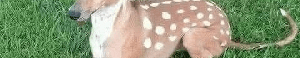 Background photo for Andrei alexandru Ș.