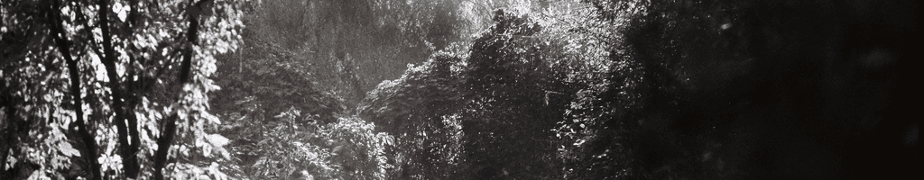 Background photo for Alexandru B.