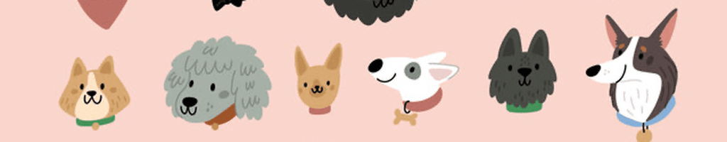 Background photo for Andreea T.