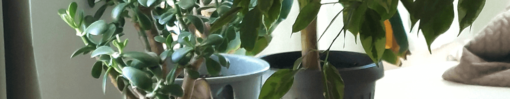 Background photo for Jeni E.