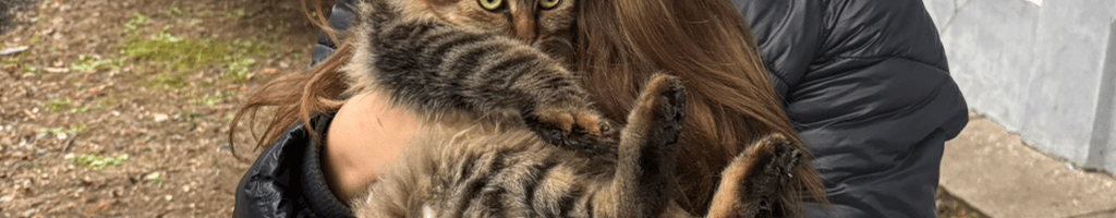 Background photo for Adela V.