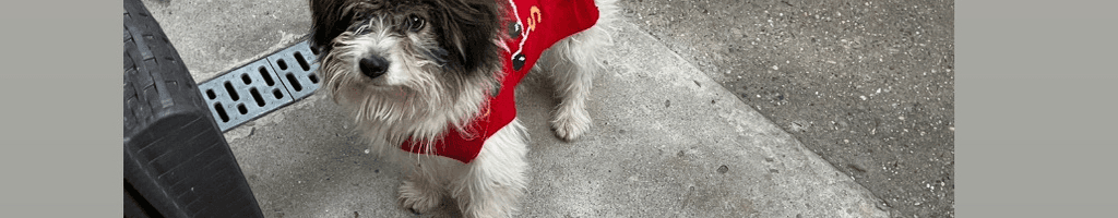 Background photo for Madalina M.