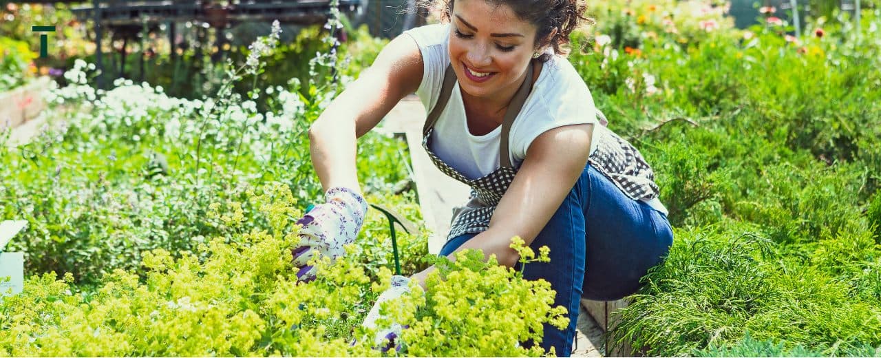 Locuri de muncă Grădină