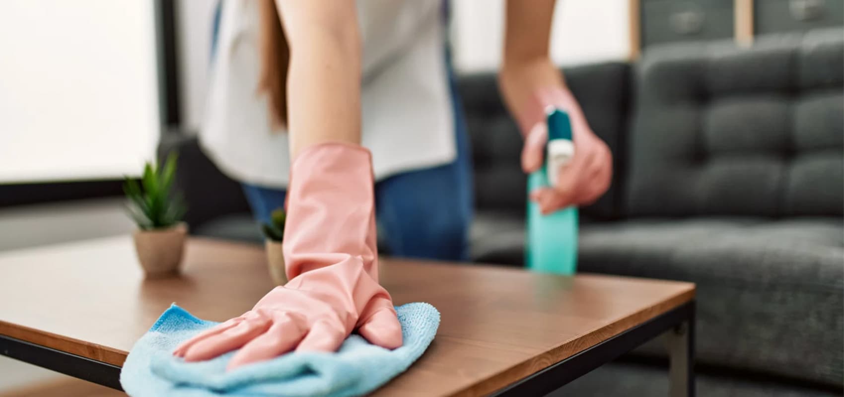 House Cleaning Taskuri