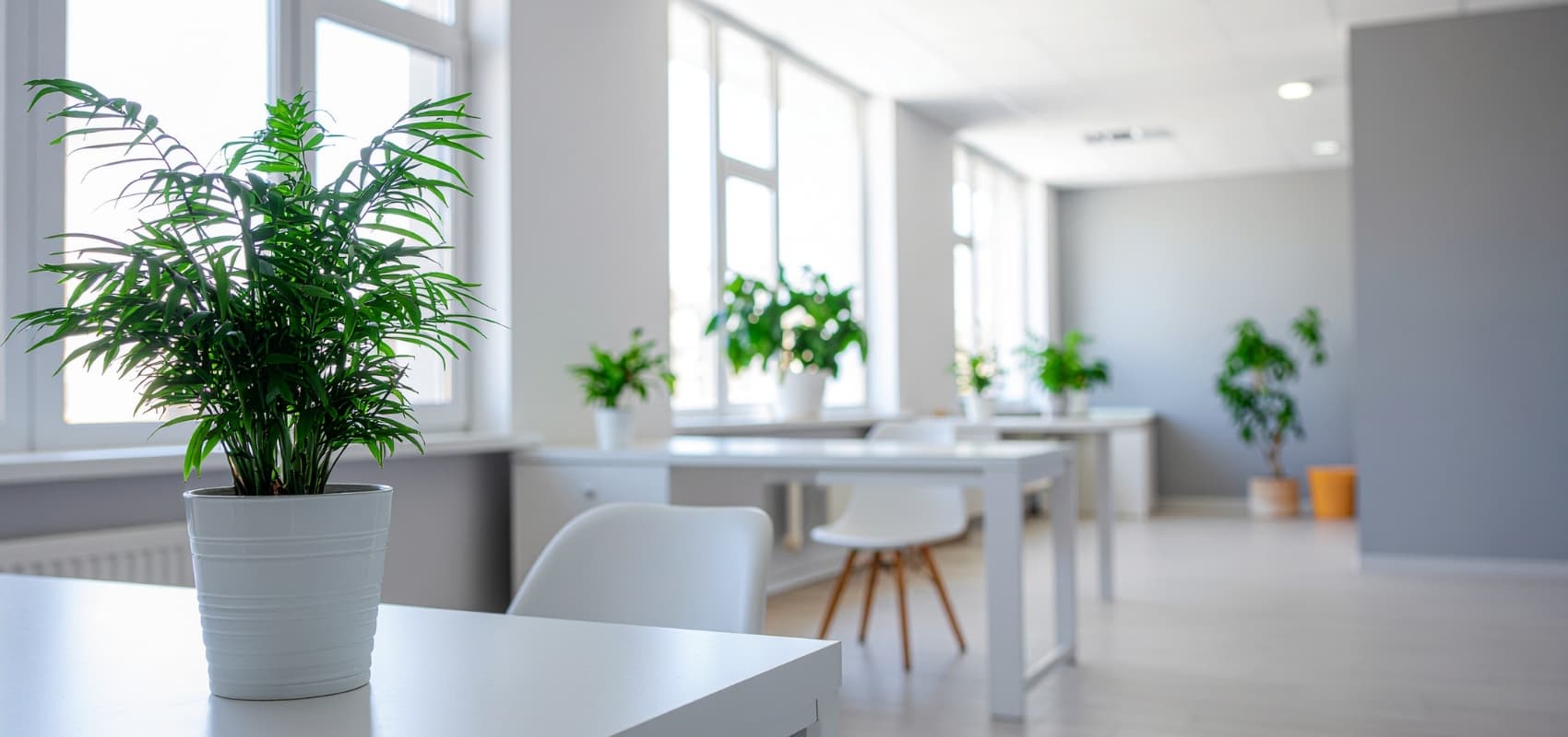 Curățenie Birouri Taskuri