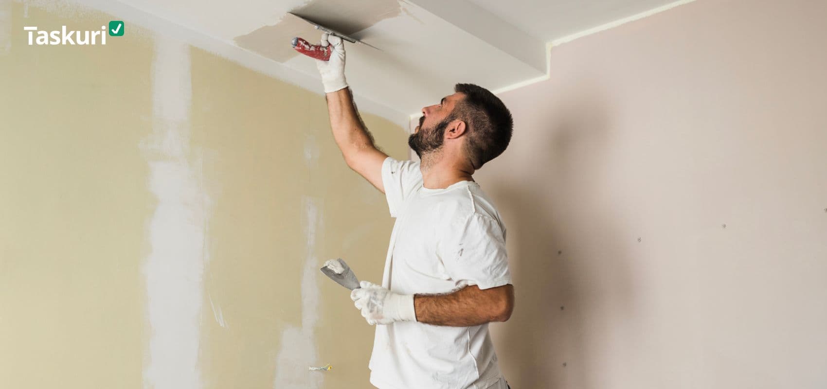 Zugraveală taskuri.ro